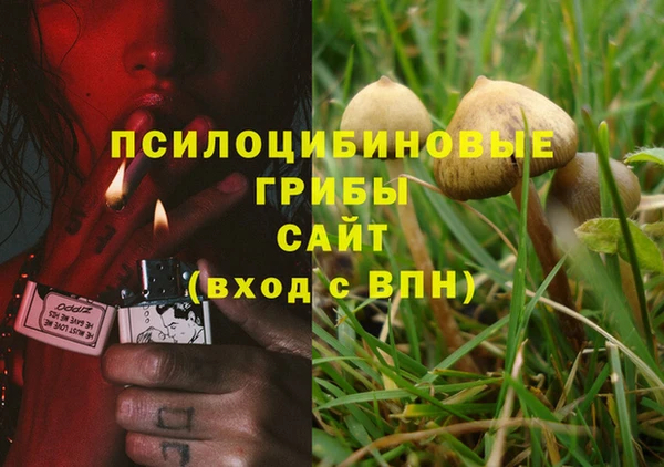 дмт Козловка