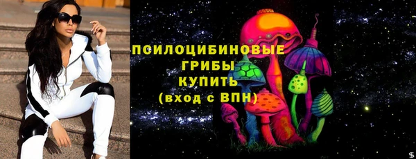 дмт Козловка