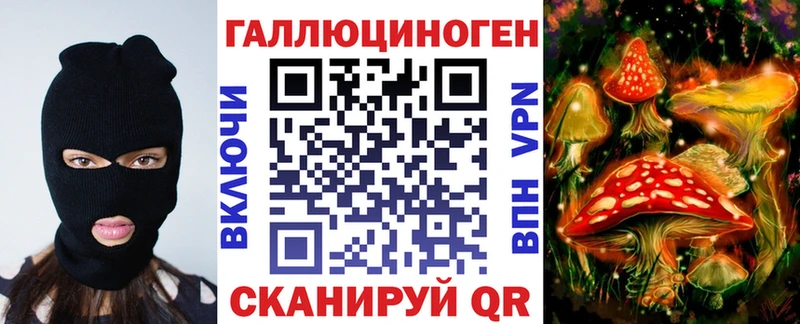 Галлюциногенные грибы Psilocybe  Купить закладки  Яранск 